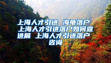 上海人才引进 海龟落户 上海人才引进落户如何查进展 上海人才引进落户 咨询