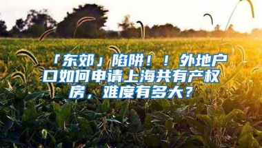 「东郊」陷阱！！外地户口如何申请上海共有产权房，难度有多大？