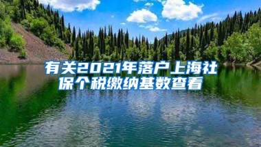 有关2021年落户上海社保个税缴纳基数查看