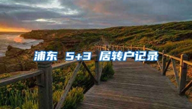 浦东 5+3 居转户记录