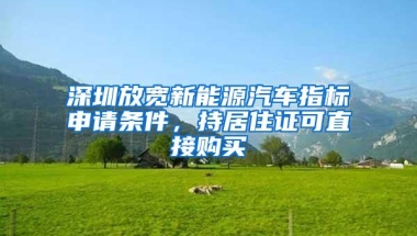 深圳放宽新能源汽车指标申请条件，持居住证可直接购买