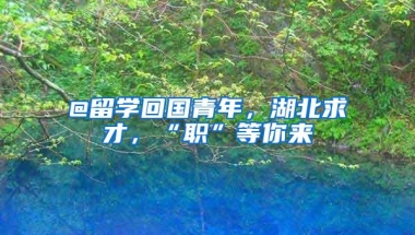 @留学回国青年，湖北求才，“职”等你来