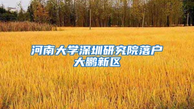 河南大学深圳研究院落户大鹏新区