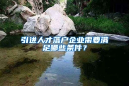 引进人才落户企业需要满足哪些条件？