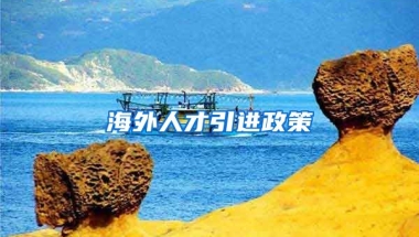 海外人才引进政策