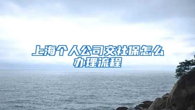 上海个人公司交社保怎么办理流程