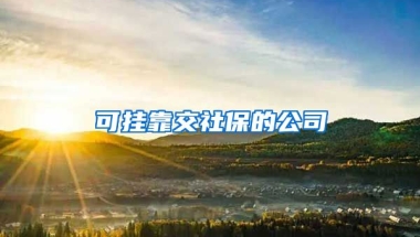 可挂靠交社保的公司