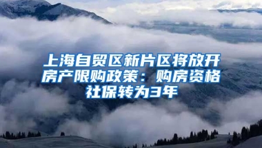 上海自贸区新片区将放开房产限购政策：购房资格社保转为3年