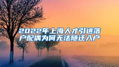 2022年上海人才引进落户配偶为何无法随迁入户