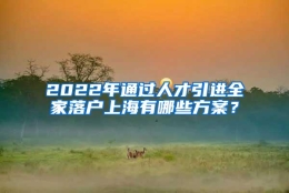 2022年通过人才引进全家落户上海有哪些方案？