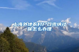 上海外地农村户口缴纳社保怎么办理