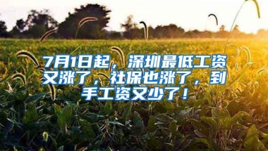 7月1日起，深圳最低工资又涨了，社保也涨了，到手工资又少了！