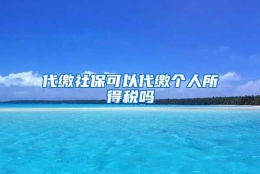 代缴社保可以代缴个人所得税吗