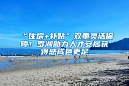 “住房+补贴”双重灵活保障！罗湖助力人才安居获得感成色更足