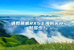 请教荣威RX5上海购买补贴多少？