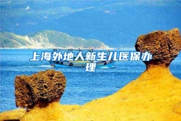 上海外地人新生儿医保办理