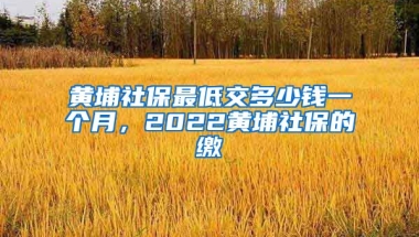 黄埔社保最低交多少钱一个月，2022黄埔社保的缴