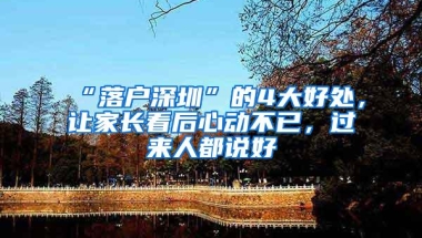 “落户深圳”的4大好处，让家长看后心动不已，过来人都说好