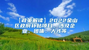 【政策解读】2022金山区政府补贴项目，涉及企业、团体、人才等