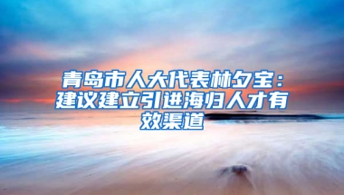 青岛市人大代表林夕宝：建议建立引进海归人才有效渠道