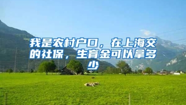 我是农村户口，在上海交的社保，生育金可以拿多少