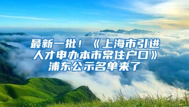 最新一批！《上海市引进人才申办本市常住户口》浦东公示名单来了