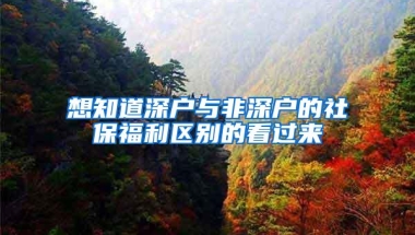 想知道深户与非深户的社保福利区别的看过来