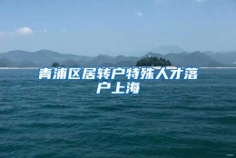 青浦区居转户特殊人才落户上海