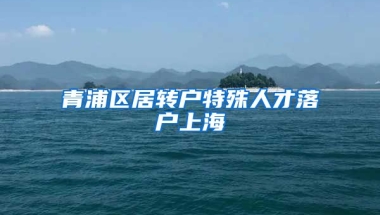 青浦区居转户特殊人才落户上海