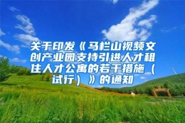 关于印发《马栏山视频文创产业园支持引进人才租住人才公寓的若干措施（试行）》的通知