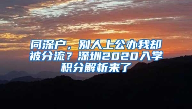 同深户，别人上公办我却被分流？深圳2020入学积分解析来了