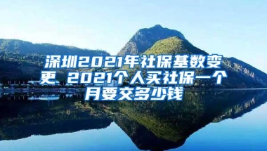 深圳2021年社保基数变更 2021个人买社保一个月要交多少钱