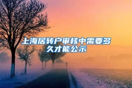 上海居转户审核中需要多久才能公示