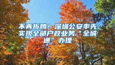 不再折腾！深圳公安率先实现全部户政业务“全城通”办理