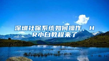 深圳社保系统如何操作，HR小白教程来了