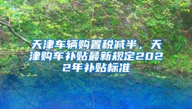 天津车辆购置税减半，天津购车补贴最新规定2022年补贴标准