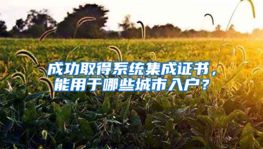 成功取得系统集成证书，能用于哪些城市入户？