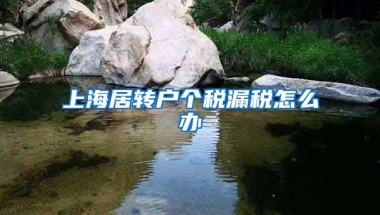 上海居转户个税漏税怎么办