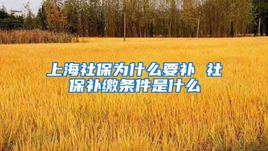 上海社保为什么要补 社保补缴条件是什么