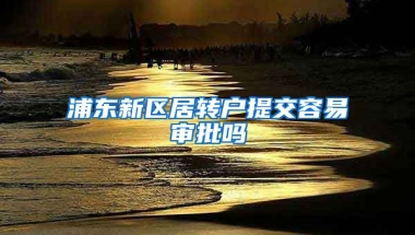 浦东新区居转户提交容易审批吗