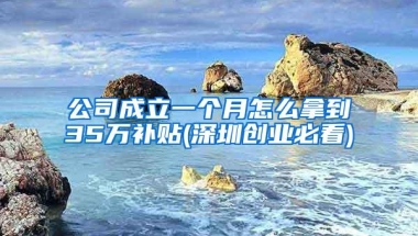 公司成立一个月怎么拿到35万补贴(深圳创业必看)