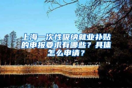 上海一次性吸纳就业补贴的申报要求有哪些？具体怎么申请？