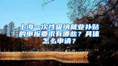 上海一次性吸纳就业补贴的申报要求有哪些？具体怎么申请？