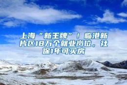 上海“新王牌”！临港新片区18万个就业岗位，社保1年可买房