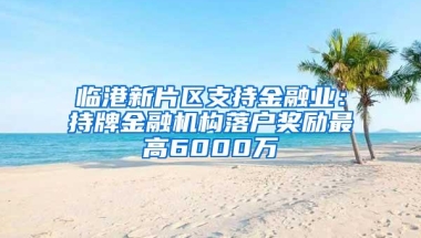 临港新片区支持金融业：持牌金融机构落户奖励最高6000万