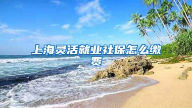 上海灵活就业社保怎么缴费