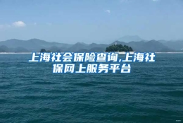 上海社会保险查询,上海社保网上服务平台