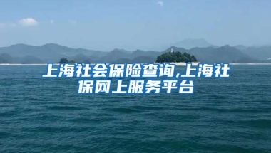 上海社会保险查询,上海社保网上服务平台