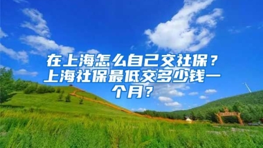 在上海怎么自己交社保？上海社保最低交多少钱一个月？