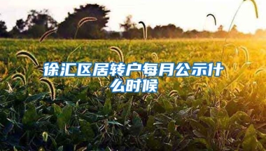 徐汇区居转户每月公示什么时候